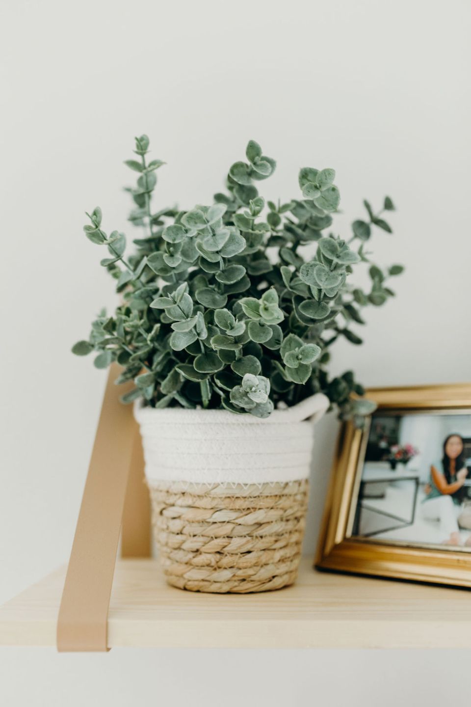 Boho-Chic-Green-Baby-Boy-Nursery-Elizabeth-McCravy-11 Boho-Chic-Green-Baby-Boy-Nursery-Elizabeth-McCravy-11