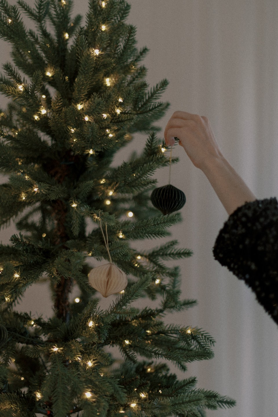 christmas-tradition-ideas (4) putting up the Christmas tree
