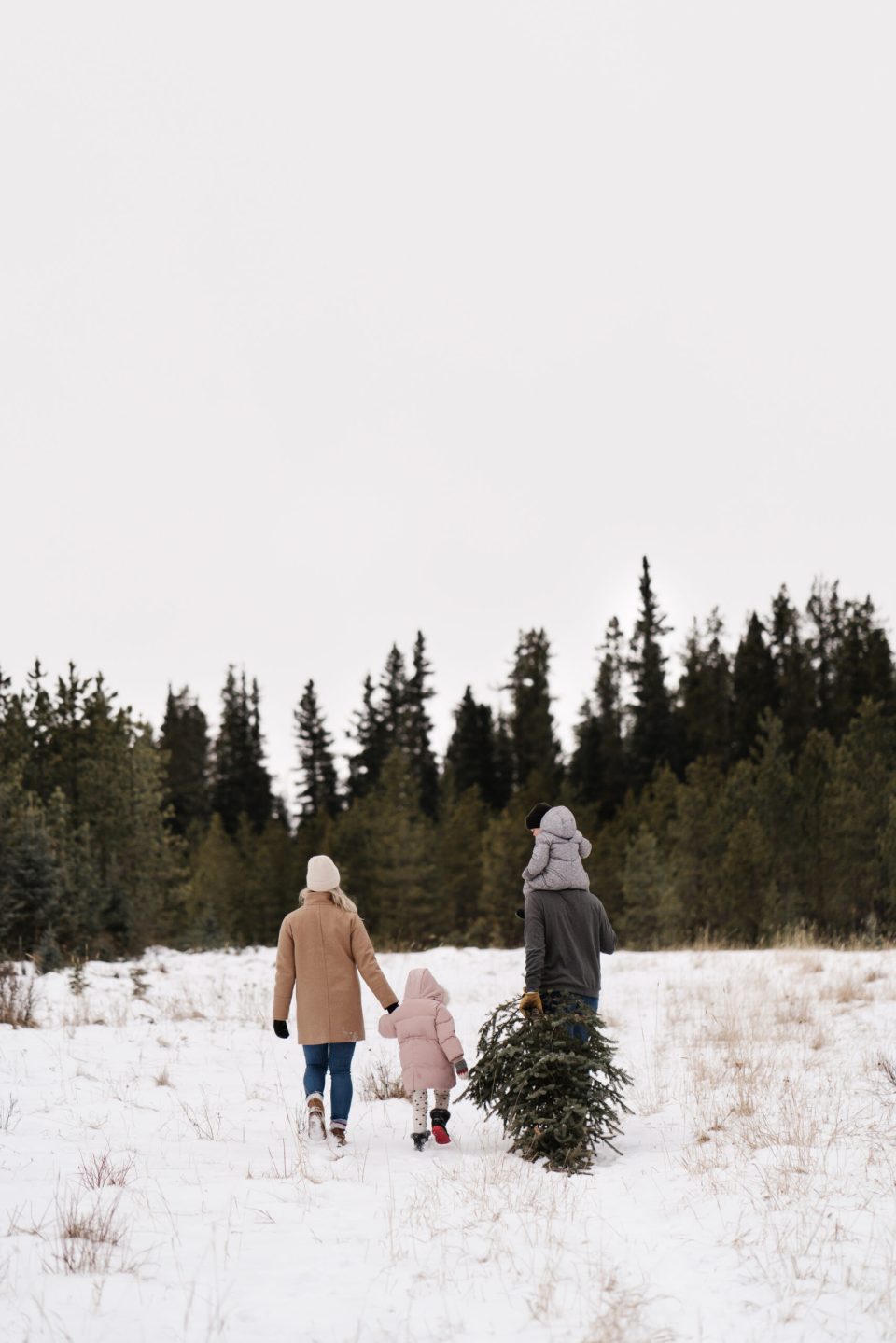 christmas-tradition-ideas (5) family going to pick out a Christmas tree