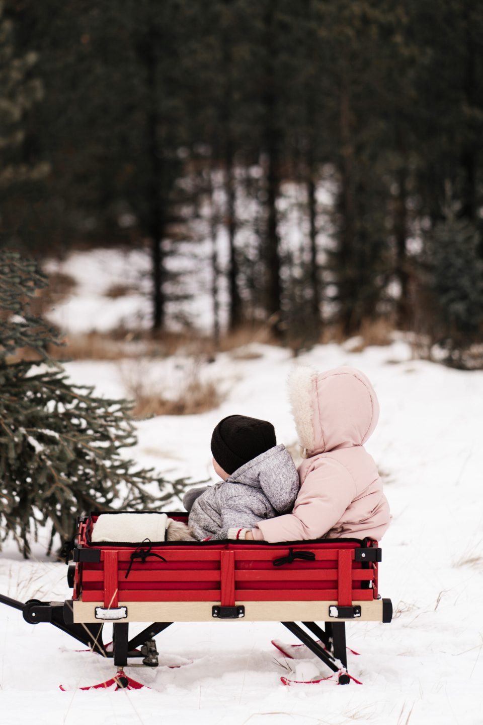 plan-for-christmas (8) having traditions to make planning for Christmas easier